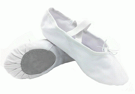Балетки RS040 для танцев, белые в Иркутске - купить в интернет магазине Икс Мастер