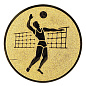 Эмблема Волейбол 25мм металл (золото) в Иркутске - купить в интернет магазине Икс Мастер