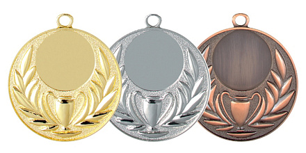 Медаль Первенство 012 50 mm в Иркутске - купить в интернет магазине Икс Мастер