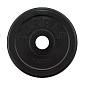 Диск обрезиненный TORRES (черный) d25 мм, 1,25  кг в Иркутске - купить в интернет магазине Икс Мастер