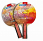 Теннисная ракетка Start line Level 200 анатомическая - купить в интернет магазине Икс Мастер 